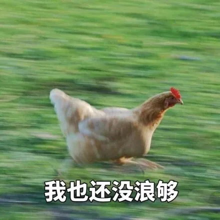 我也还没浪够