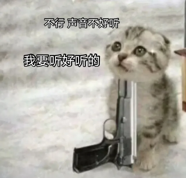 不行声音不好听我要听好听的