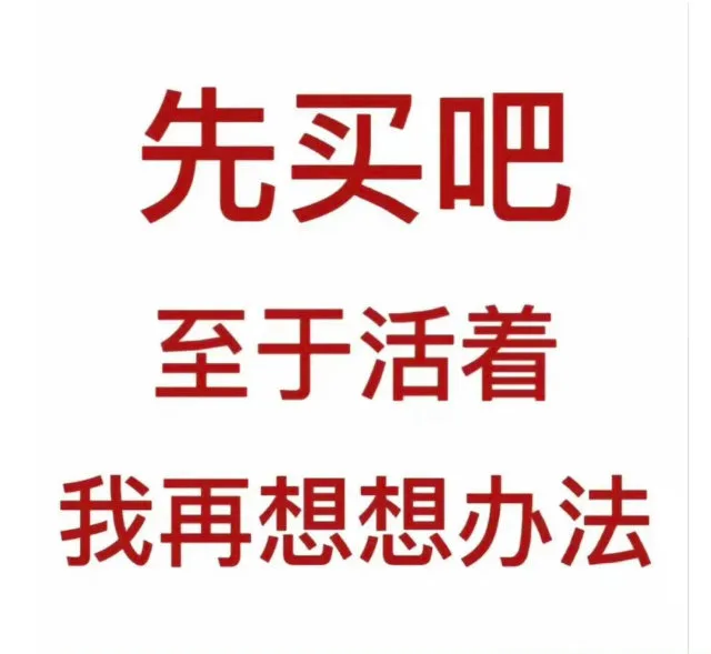 先买吧至于活着我再想想办法（先买吧至于活着我再想想办法）