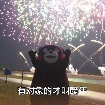 有对象的才叫跨年