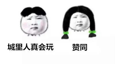 城里人真会玩。赞同（城里人真会玩。赞同）