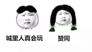 城里人真会玩。赞同