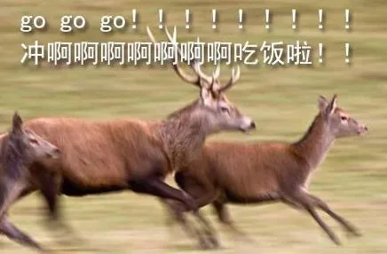 go go go!!!冲啊啊啊啊吃饭啦！！