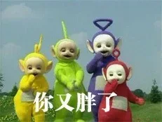 你又胖了