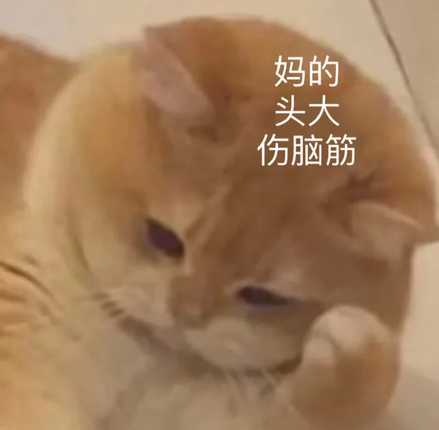 妈的头大伤脑筋（妈的头大伤脑筋）