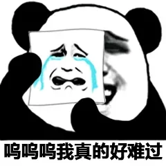 呜呜呜我真的好难过