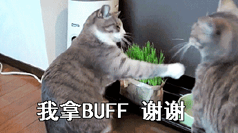 我拿 BUFF 谢谢