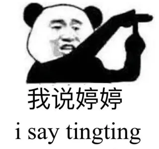 我说婷婷 i say tingting