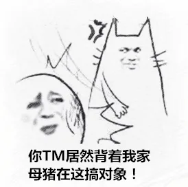 你 TM 居然背着我家母猪在搞对象