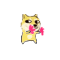 doge小黄狗跳舞（doge小黄狗跳舞）