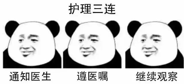 护理三连：通知医生 遵医嘱 继续观察