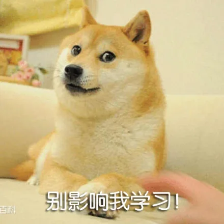 别影响我学习！（别影响我学习！）