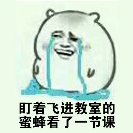 盯着飞进教室的蜜蜂掉了一节课（盯着飞进教室的蜜蜂掉了一节课）
