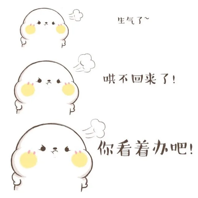 生气了·~哄不回来了 !你看着办吧