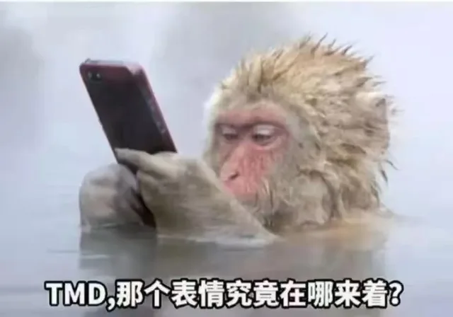 TMD,那个表情究竟在哪来着？(猴子表情包)（TMD,那个表情究竟在哪来着？(猴子表情包)）