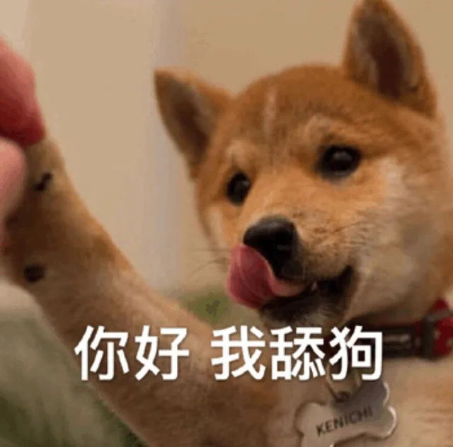 你好，我舔狗（你好，我舔狗）