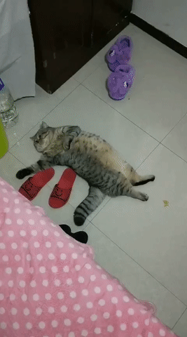 放假时的你妈和你