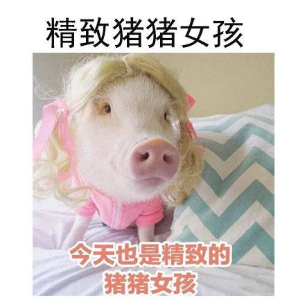 精致猪猪女孩今天也是精致的猪猪女孩（精致猪猪女孩今天也是精致的猪猪女孩）
