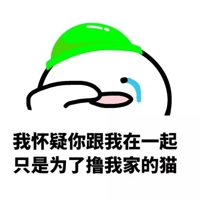 我怀疑你跟我在一起只是为了撸我家的猫（我怀疑你跟我在一起只是为了撸我家的猫）