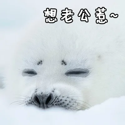 想老公惹