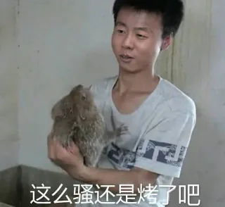 这么骚还是烤了吧