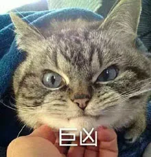 巨凶（巨凶）