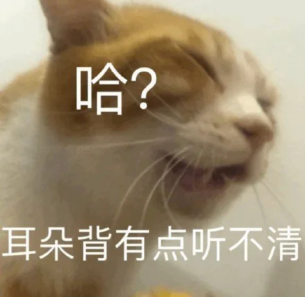 哈？耳朵背有点听不清（哈？耳朵背有点听不清）