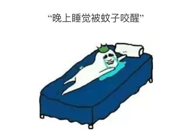晚上睡觉被蚊子咬醒