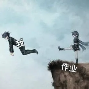 作业 VS 我