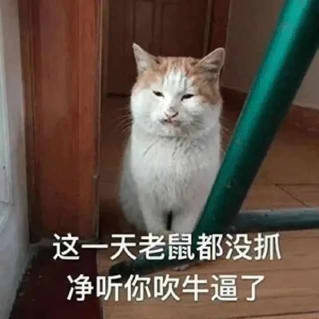 这一天老鼠都没抓净听你吹牛逼了（这一天老鼠都没抓净听你吹牛逼了）