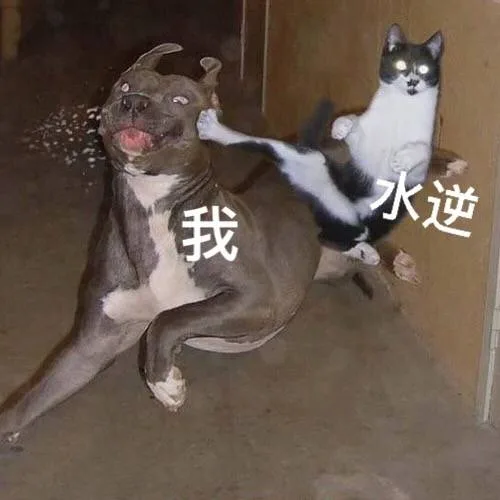 水逆 VS 我