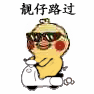 小黄鸡开摩托