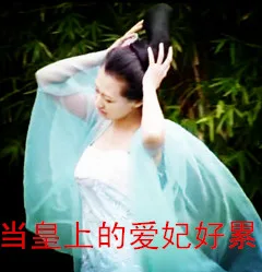 当皇上的爱妃好累（当皇上的爱妃好累）