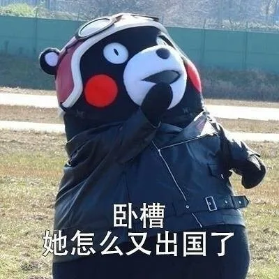 卧槽，她怎么又出国了（卧槽，她怎么又出国了）