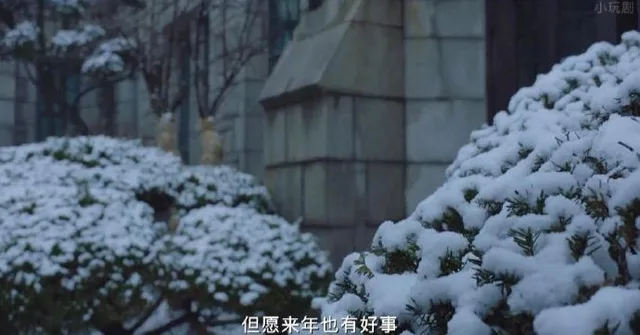 小玩剧但愿来年也有好事（小玩剧但愿来年也有好事）