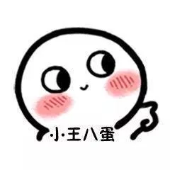 小王八蛋