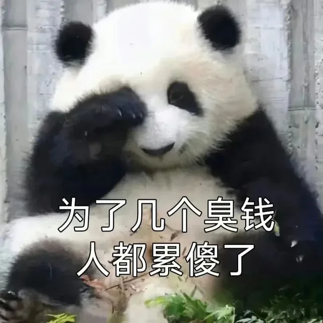 为了几个臭钱人都累傻了（为了几个臭钱人都累傻了）
