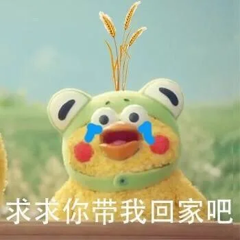 求求你，带我回家吧！ _鹦鹉兄弟_内涵表情包