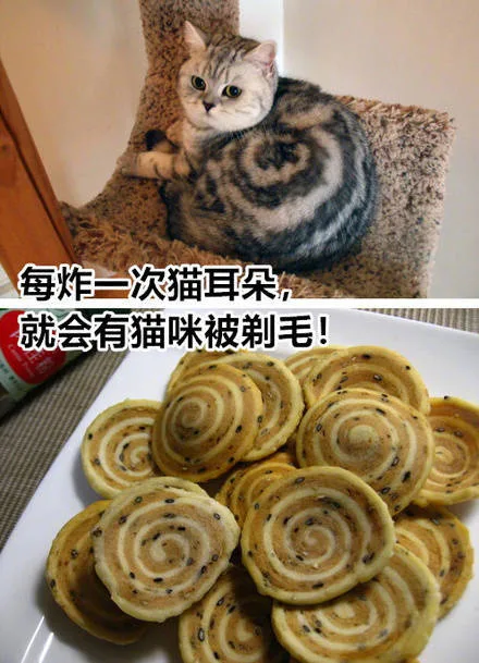 每炸一次猫耳朵n运就会有猫咪被剃毛!