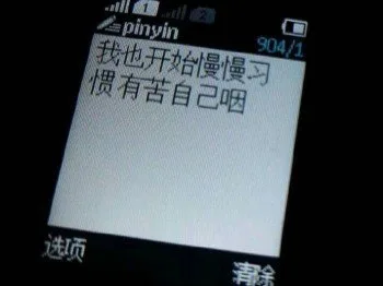 我也开始慢慢习惯有苦自己咽
