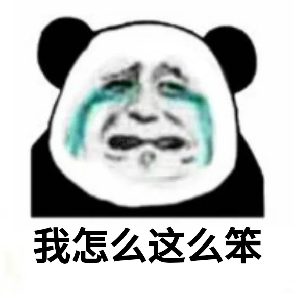 我怎么这么笨