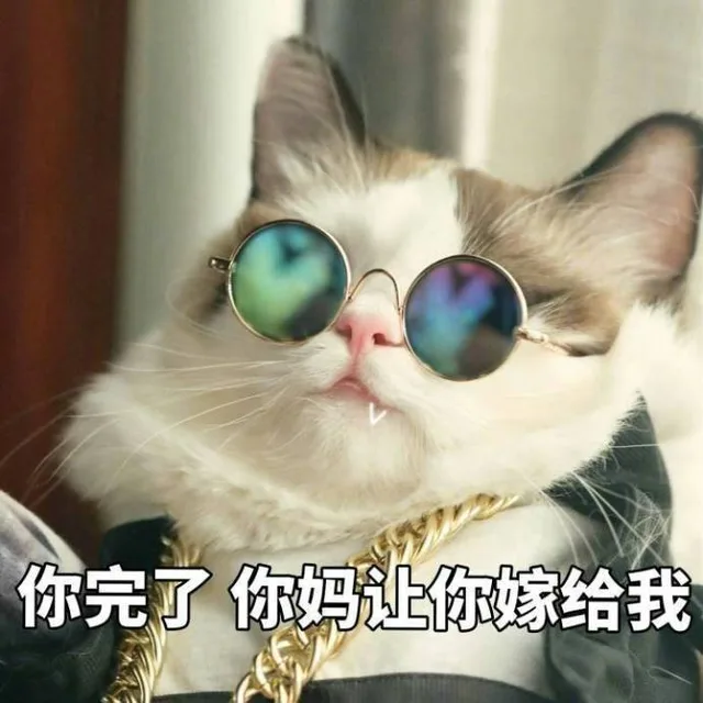 一组智障萌猫表情包_猫咪_撩妹撩汉