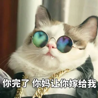 一组智障萌猫表情包_猫咪_撩妹撩汉表情包