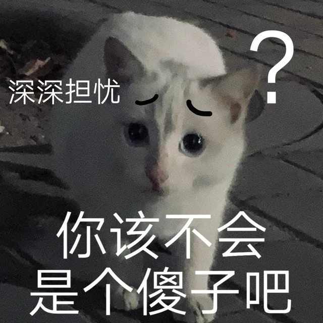 深深担忧你该不会是个傻子吧