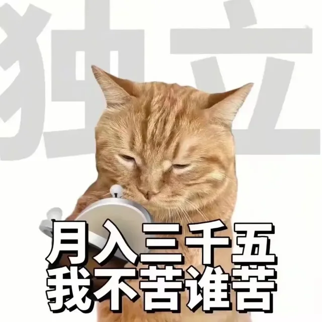 月入三千五我不苦谁苦（月入三千五我不苦谁苦）