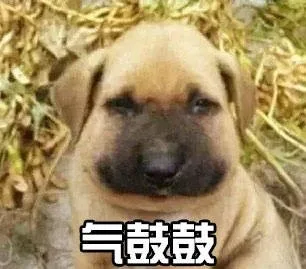 气鼓鼓
