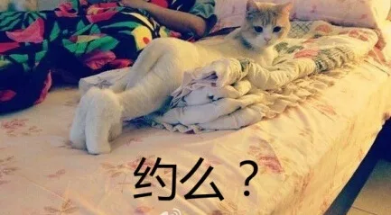 约么？