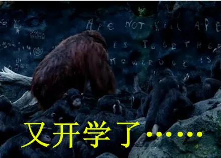 又开学了....