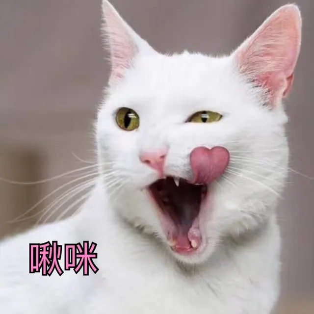 湫咪