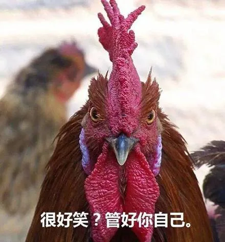 很好笑?管好你自己。